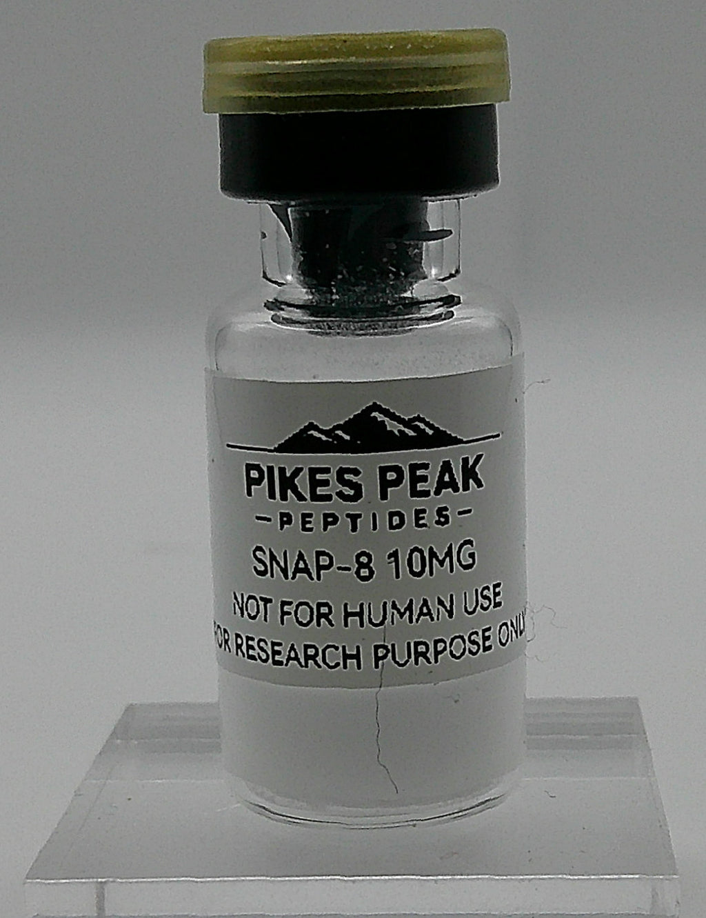SNAP-8