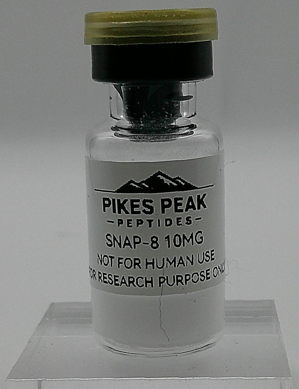 SNAP-8