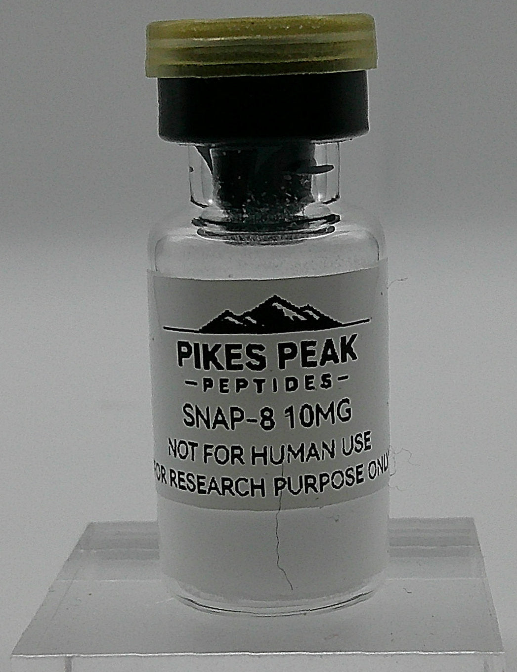 SNAP-8